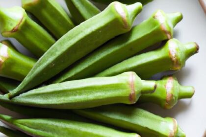 Okra Unveiled: Nature’s Versatile Green Gem Explored