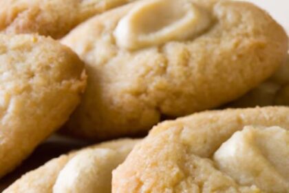 Crunchy Delight: The Art of Perfect Macadamia Nut Cookies