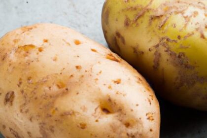 Halloumi Unwrapped: The Sizzling Cheese You Need to Try