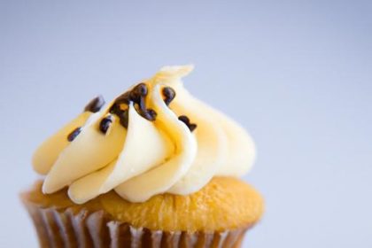 Sweet Bites: Exploring the Art and Joy of Cupcakes