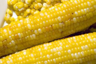 Golden Delight: The Ultimate Guide to Corn on the Cob
