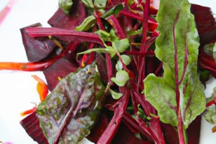 Brighten Your Plate: The Ultimate Roasted Beet Salad Guide